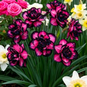 Нарцисс Золотая Корона купить по цене от 2000р. в интернет-магазине «Посадика» с доставкой почтой в в Троицке и по всей России – [изображение №1].